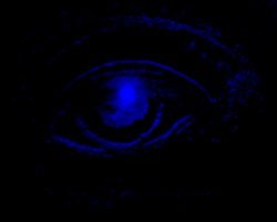 Gini's eye :o)